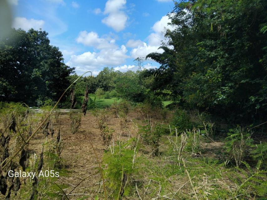 ขายที่ดินทำเลดี กลางเมืองเชียงราย 15