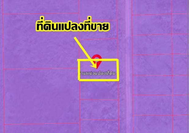 ขายที่ดินเปล่า ซอยรังสิตการ์เด้น ใกล้สหการประมูล รังสิต-คลอง8 5