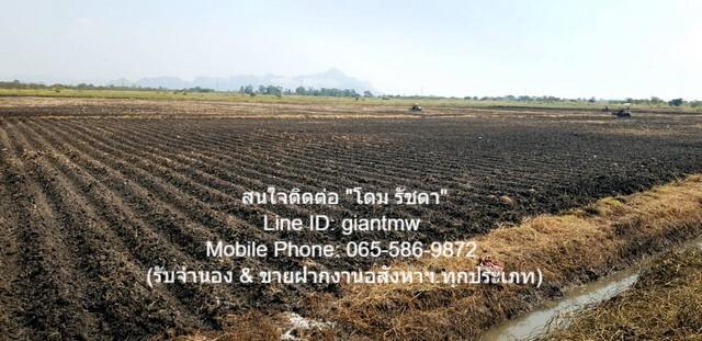 ขายที่ดินเพื่อการเกษตรกรรม 149-0-91.4 ไร่ ต.หนองแก อ.พระพุทธบาท จ.สระบุรี, ราคา 55 ล้านบาท 5