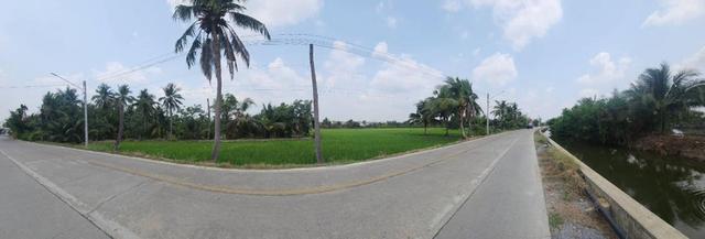 ขายที่ดินทำเลศักยภาพ พุทธมณฑลสาย 5 สามพราน นครปฐม 1-0-47 ไร่ 3