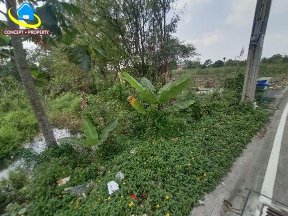 ขายที่ดิน 368 ตารางวา ซอยบางรักน้อย 18 ซอยอนามัยบางประดู่ เมืองนนทบุรี 2