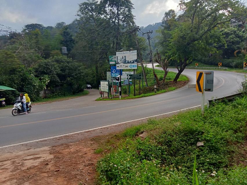 ขายที่ดิน วิวภูเขา 360 องศา เอกสารพร้อมโอนเหมาะสำหรับทำโรงแรม รีสอร์ท บ้านจัดสรร 2