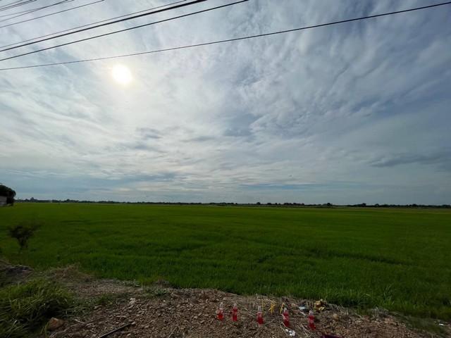 ขายทำเลดีและพื้นที่ที่ดินสวยมาก  ต.บางพระขาว อ.บางบาล จ.พระนครศรีอยุธยา 3