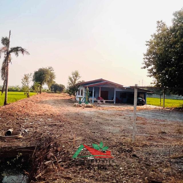 ที่ดินพร้อมบ้าน เนื้อที่2ไร่ ใกล้ซอยหาดเติมรัก วัดลาดปลาดุก  4