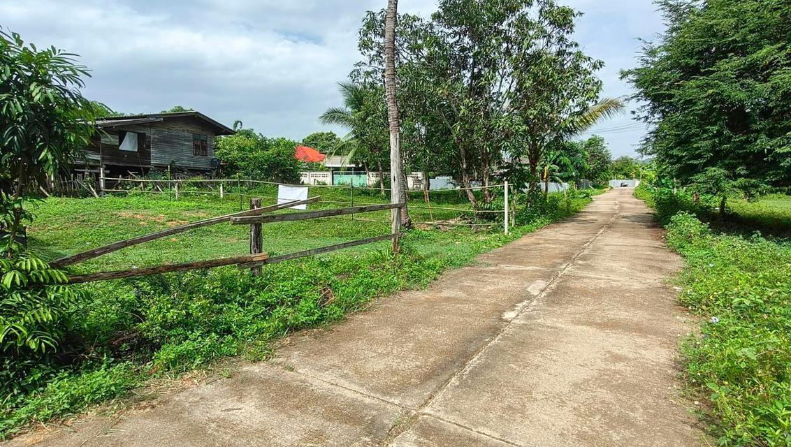 ขายที่ดินว่างเปล่า 53 ตร.วา ต.บ้านเสด็จ อ.เมืองลำปาง