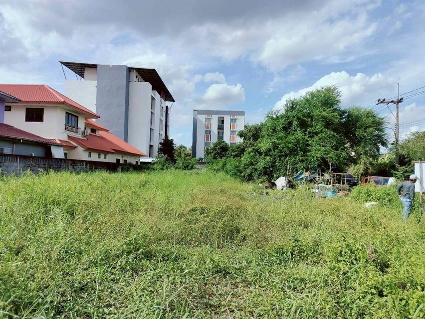 Vายที่ดินทำเลดี 157 ตารางวา ติดถนนคอนกรีต ซอย รังสิต-นครนายก 62 อ.ธัญบุรี จ.ปทุมธานี 7