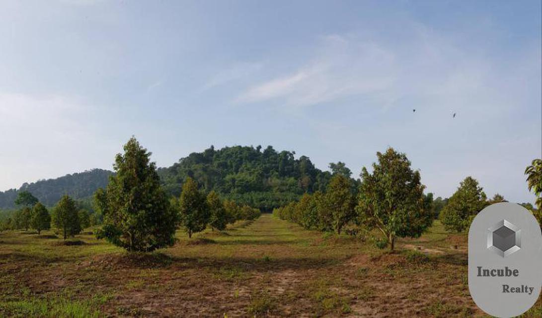 รูป ขายที่ดิน จันทบุรี 80-0-0.0 ไร่ 105 ล้านบาท 2
