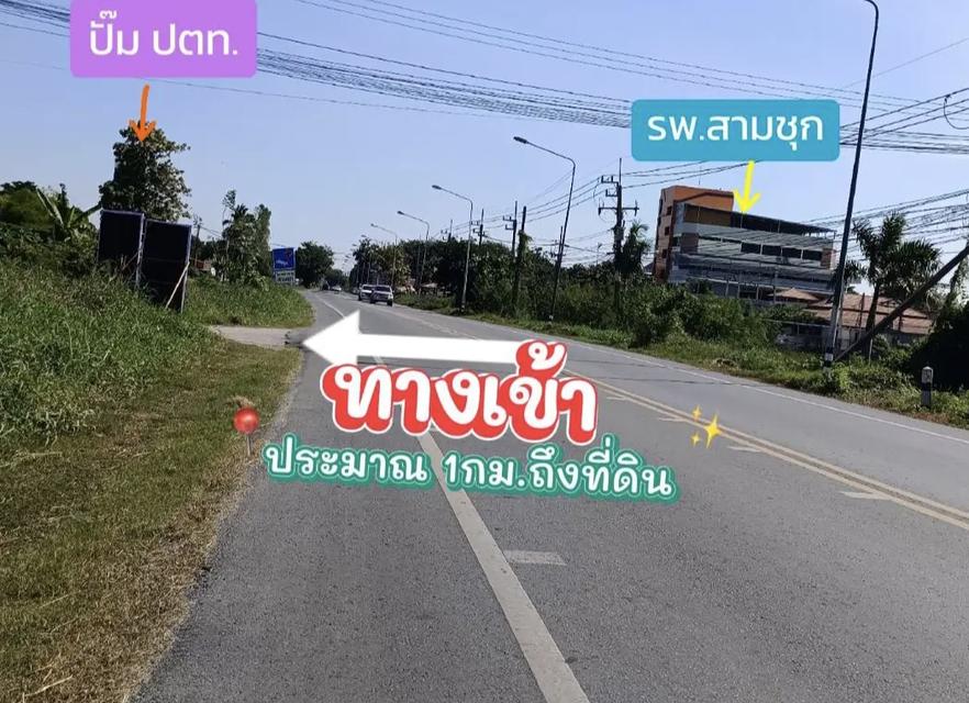 ที่ดินพร้อมสวน+ที่นา 11