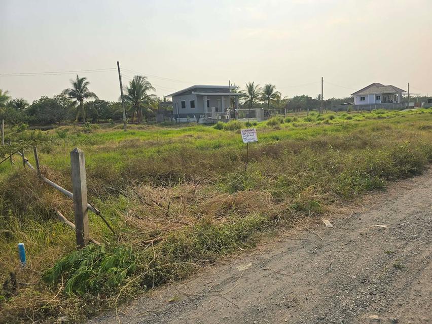 ขายที่ดินต.สันทรายอ.สารภีจ.เชียงใหม่ 100ตรว. 3