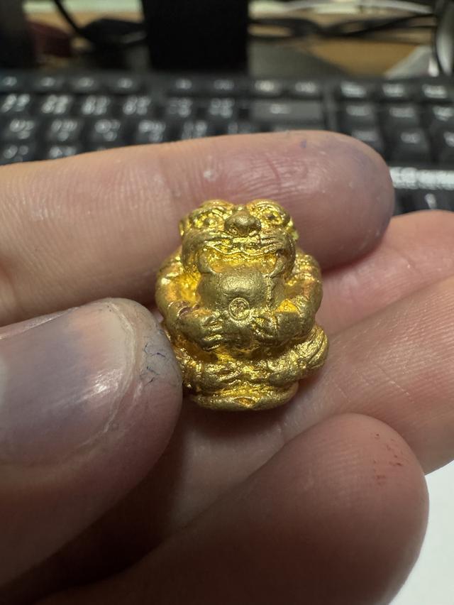 เสือพุทธาคม9 รุ่นอุ้มทรัพย์ ลพ.หวล วัดชาวเหนือ