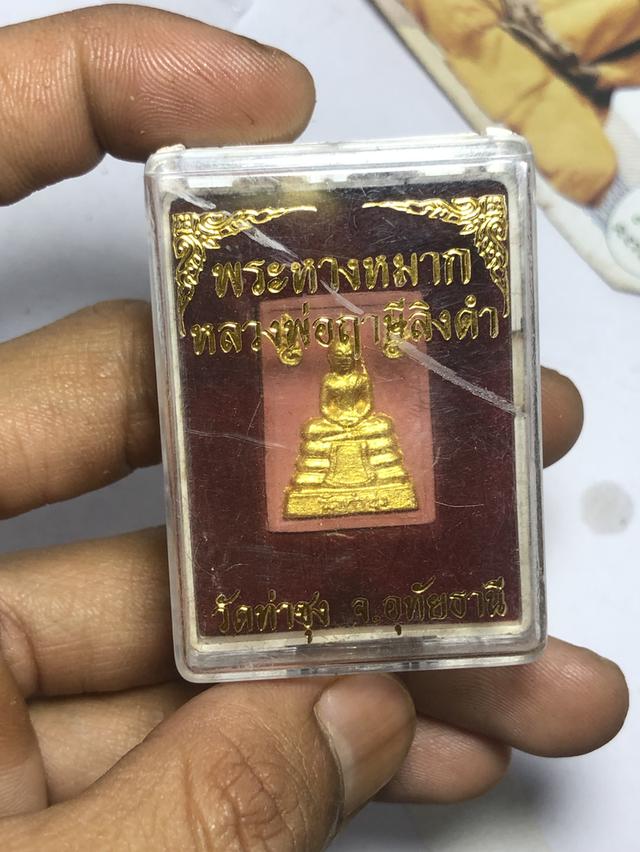 พระหางหมาก หลวงพ่อฤาษีลิงดำ วัดท่าซุง