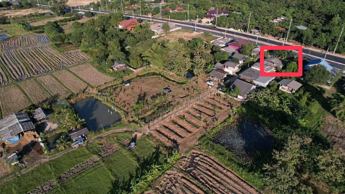 ที่ดินบ้านพระเนตร อ.ขุนตาล จ.เชียงราย 4