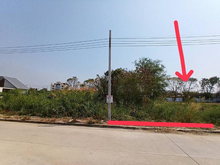 ที่ดิน 56.1 ตารางวา ถมแล้ว ซอยเฉลิมพระเกียรติ 39/2 ติดสวนหลวงร 9 เขตประเวศ กรุงเทพฯ 5