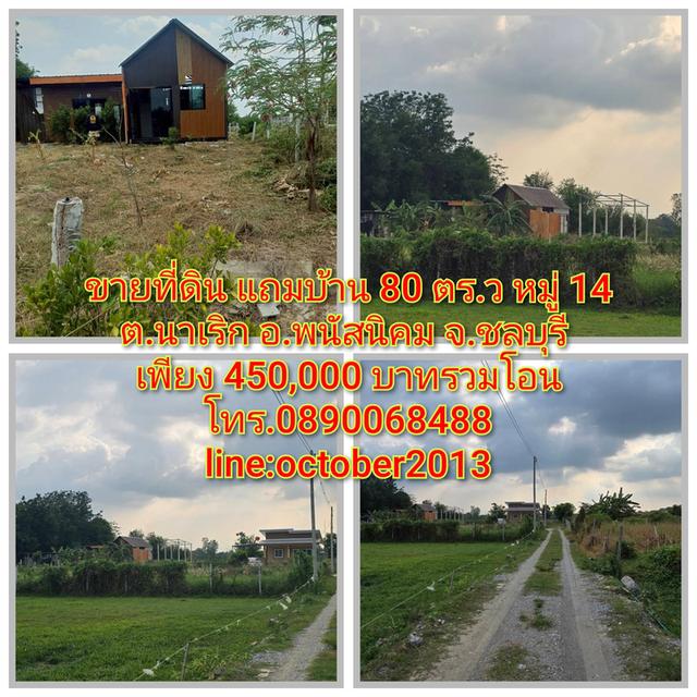 ขายที่ดิน 80 ตร.ว(แถมบ้าน) หมู่ 14 ต.นาเริก พนัสนิคม ชลบุรี 1