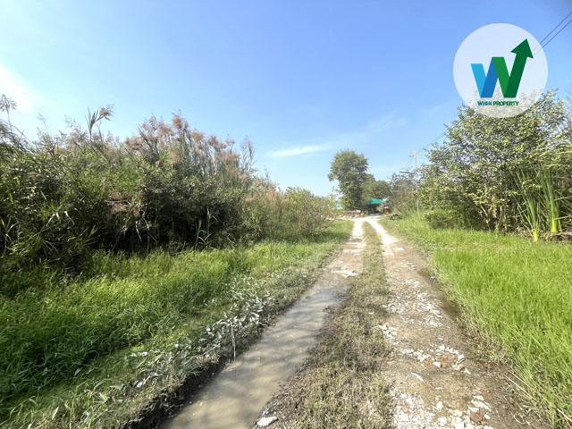 ขายที่ดินทรงสี่เหลี่ยมสวย 40x39 ม. พื้นที่ใช้สอยคุ้มค่าทุกตารางนิ้ว 3