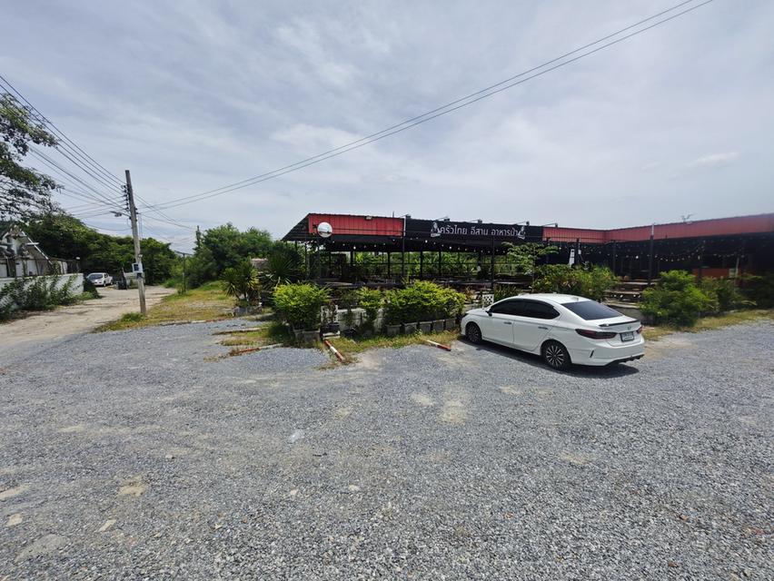 ที่ดิน บางใหญ่ 4