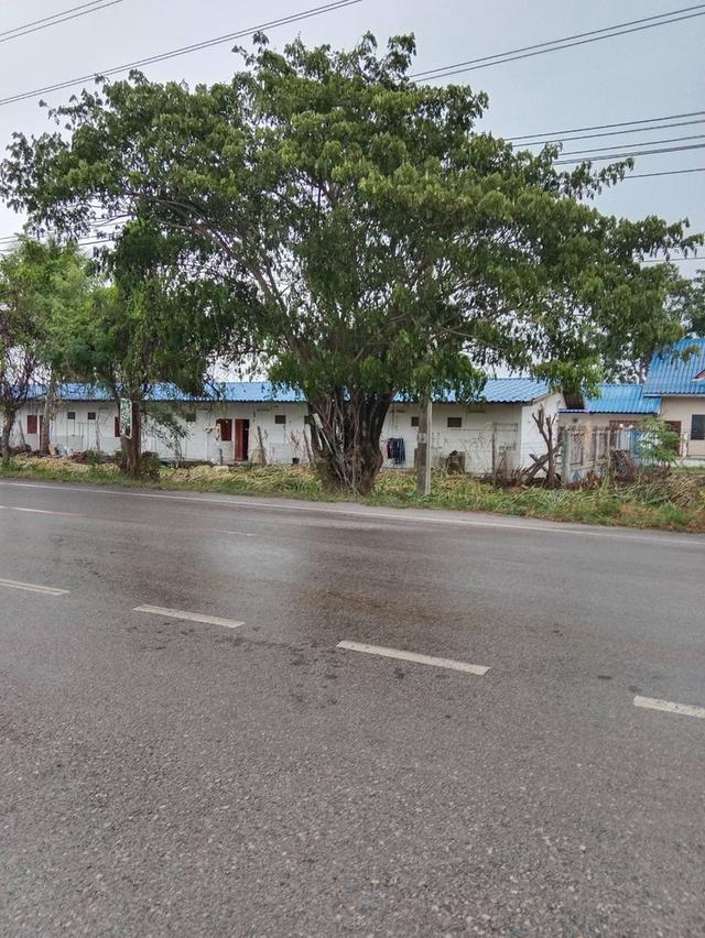 ที่ดินสวย 8