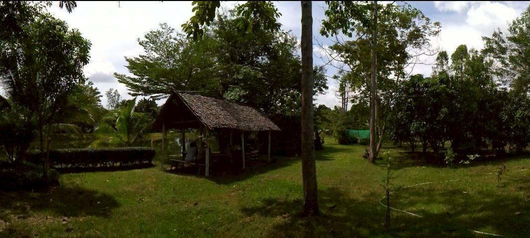 ที่ดินสวยราคาถูก เขาฉกรรจ์ สระแก้ว 6