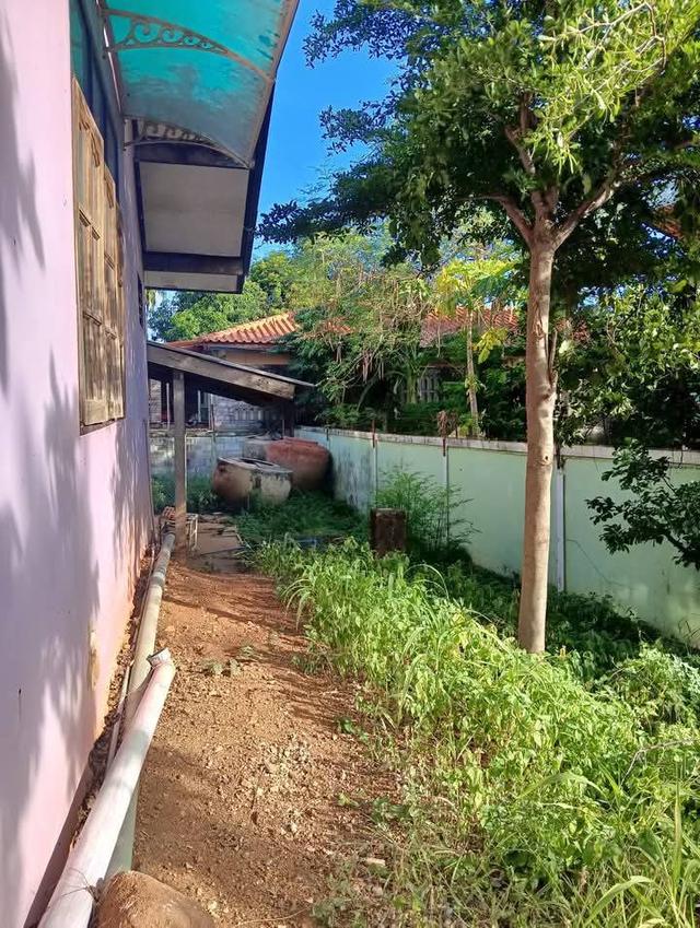 บ้านและที่ดิน 180ตรว. อยู่ใน อ.หนองม่วง จ.ลพบุรี 9