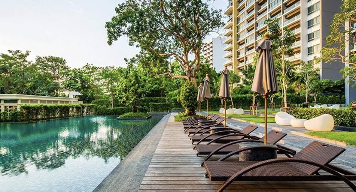 For rent Zire Wongamat Condo 52,000/month 6