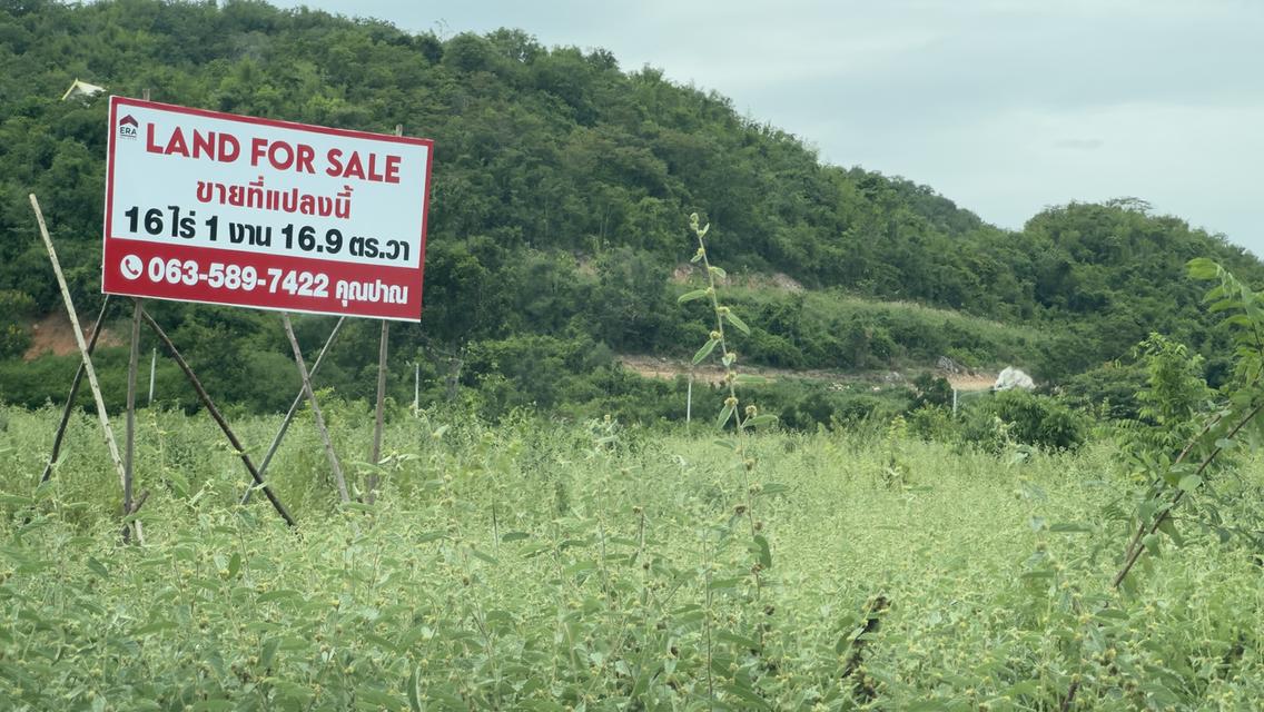 ขายที่ดินแปลงใหญ่ วิวภูเขา หัวหิน ประจวบคีรีขันธ์ 5