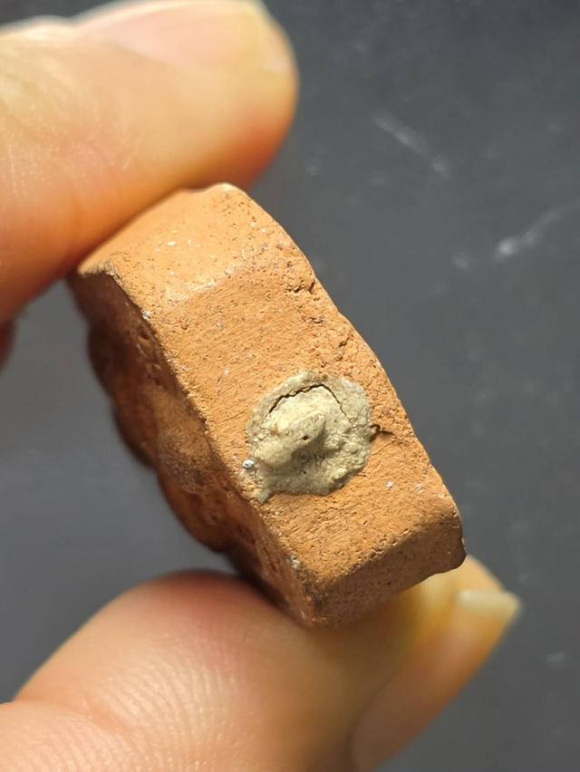 พระเครื่องหลวงพ่อปานพิมพ์ทรงไก่หางพวง รูปที่ 3