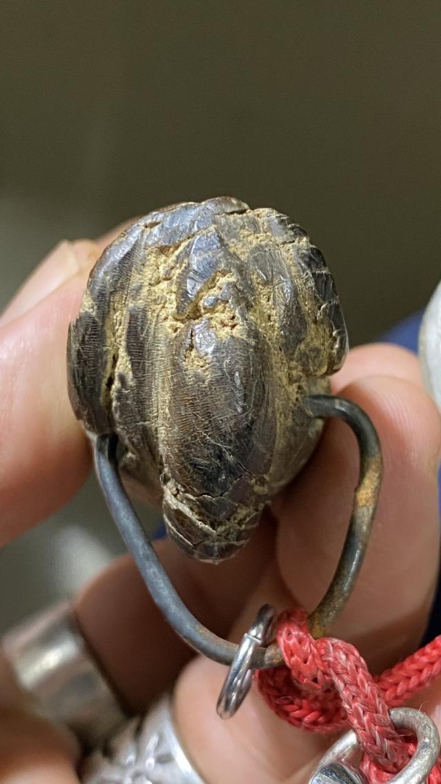 ปลัดขิกเขาควายเผือก หลวงพ่อโศก รูปที่ 3