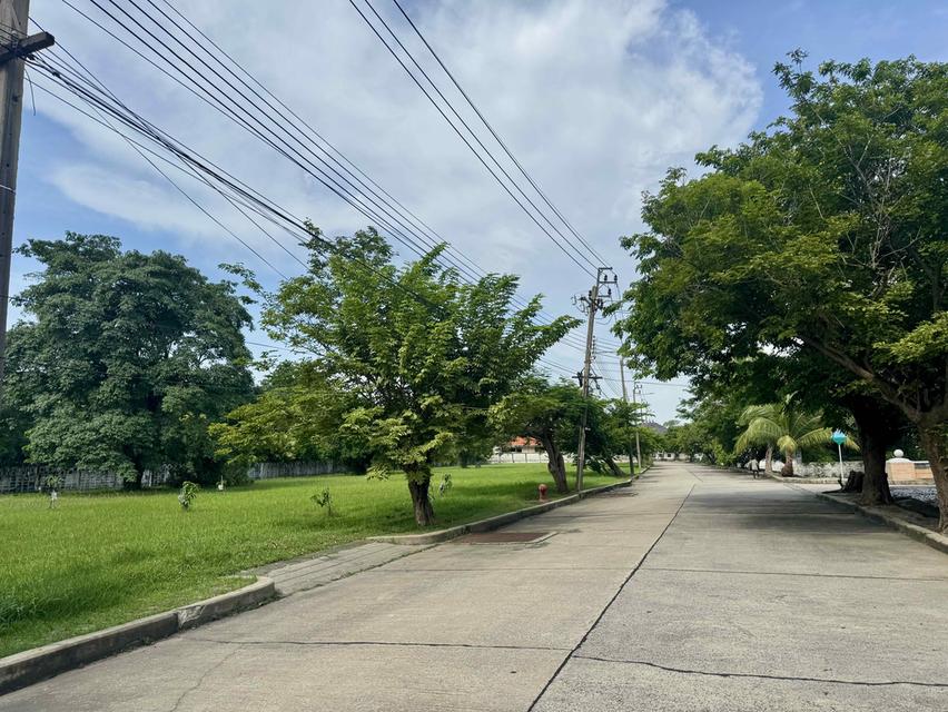 ขายที่ดินในหมู่บ้านวินด์มิลล์ พาร์ค (Windmill Park) อ.บางพลี จังหวัดสมุทรปราการ 2