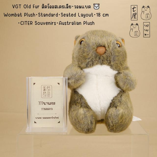 ตุ๊กตา VGT Old Fur สัตว์ออสเตรเลีย・วอมแบต・ขนเก่า 🐨 Wombat Plush ・Standard・Seated Layout・18 cm・CITER Souvenirs・Australian Plush รูปย่อยที่ 2