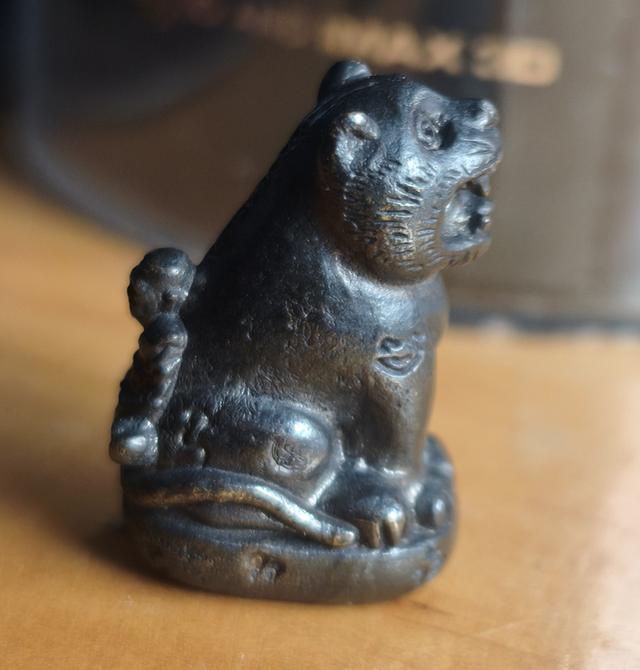 เสือหลวงพ่อเพี้ยน วัดเกริ่นกฐิน ปี 2555 รุ่นแซยิด เนื้อทองเหลืองรมดำ