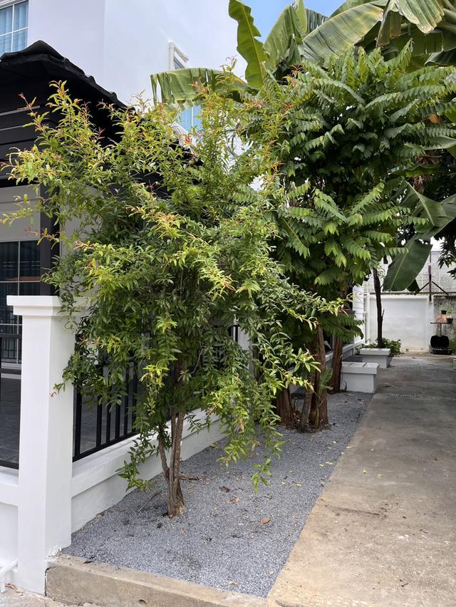 บ้านหลังมุม รีโนเวทใหม่ สไตล์โมเดิร์น พร้อมของแถมมากมาย! 20