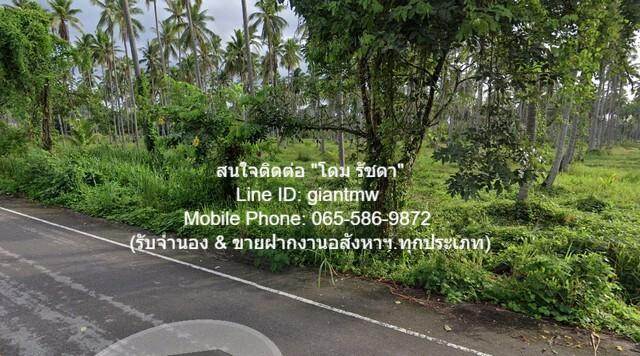 DHL-009 FOR SALE พื้นที่ดิน ืที่ดิน ทับสะแก จ.ประจวบคีรีขันธ์ 15000000 B. 70 SQ.WA 0 ngan 31 RAI ราคา - สุดคุ้ม 4