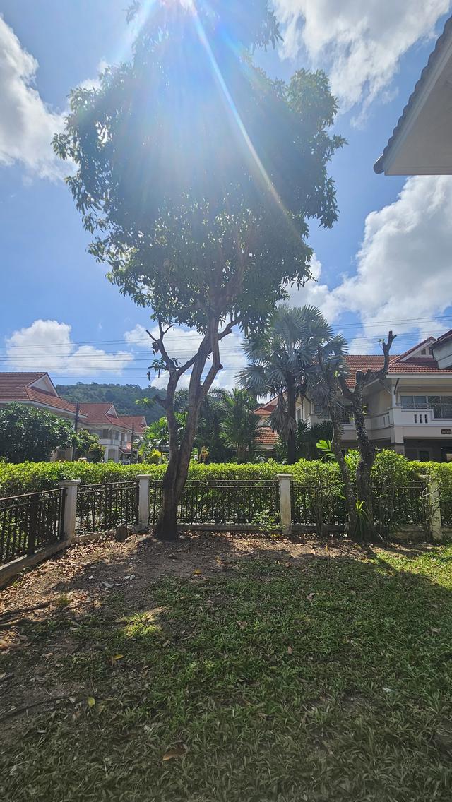 🏡 ให้เช่าบ้านเดี่ยวหลังใหญ่ แปลงมุม พื้นที่กว้าง 1 งาน! หมู่บ้านท็อปแลนด์ รัษฎา ภูเก็ต 5