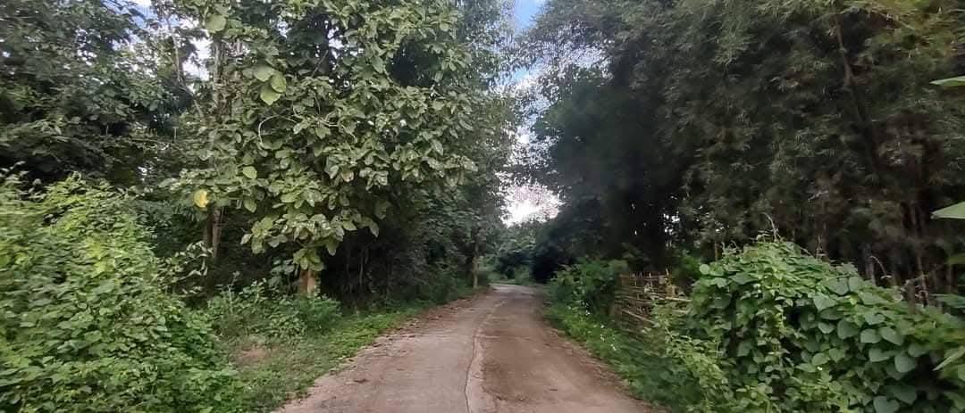 ที่โฉนด ขนาด110มีตรว ราคา280,000ห่าง7-11เพียง1โล  ไฟฟ้าถึงหน้ากว้างติดถนนคอนกรีต17เมตร ด้านในมีต้นไผ่ ขนุน,น้อยหน่า,มะม่วง,กล้วย ต้นสัก,ตะไคร้ 20