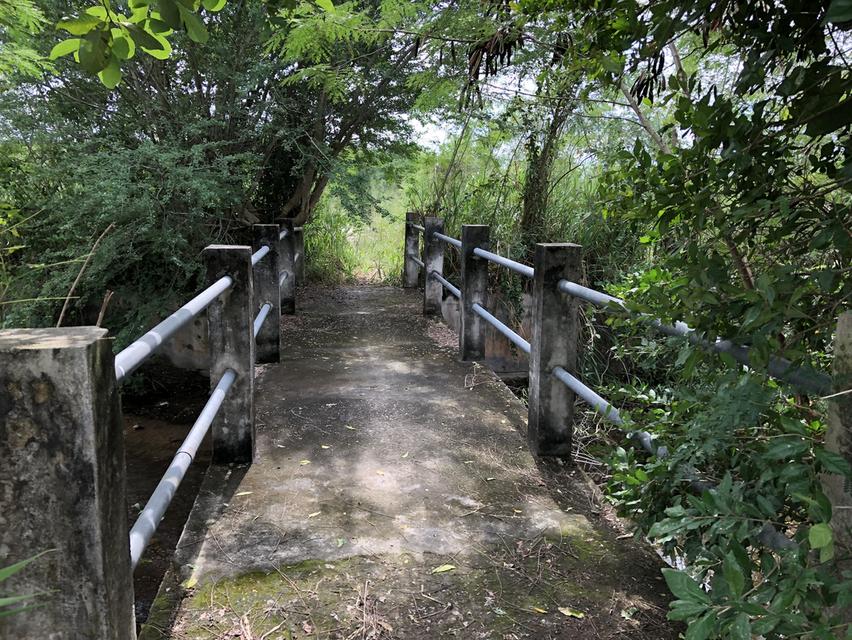 ที่ดินวิวเขา บ้านคา ราชบุรี 32 ไร่กว่า ไร่ละ 235000 4