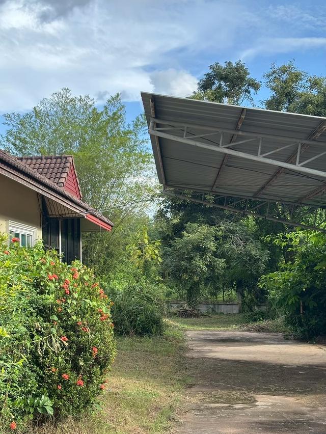 บ้านเดี่ยว พร้อมที่ดินผืนใหญ่ 8