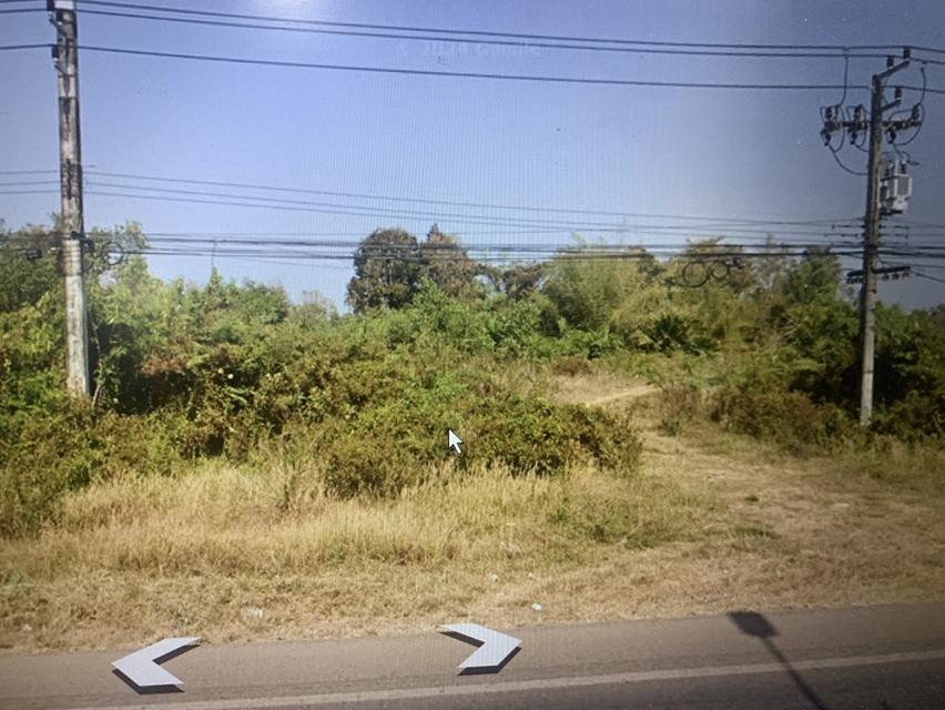 หนีน้ำท่วมเมืองหลวงได้แล้ว ขายที่ดินราคา 3