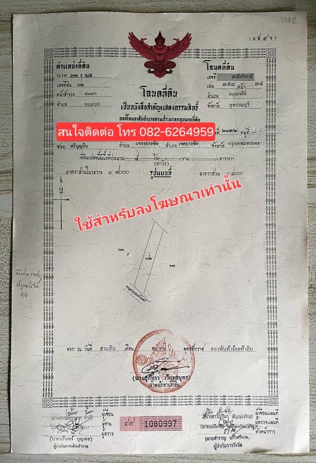 ขายที่สวน มีโฉนด อยู่ใกล้ถนนหลัก อ.ดอนเจดีย์  จ.สุพรรณบุรี 9
