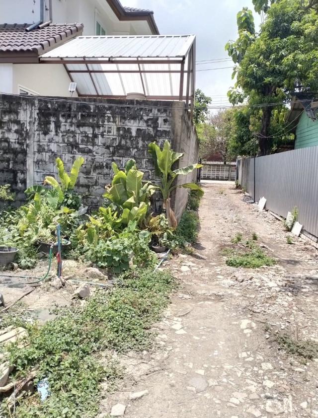 ขายที่ดิน 1