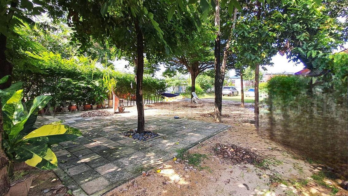 บ้านเดี่ยว พร้อมที่ดินถมแล้ว เทิดราชัน 17 ดอนเมือง ราคาถูก 7