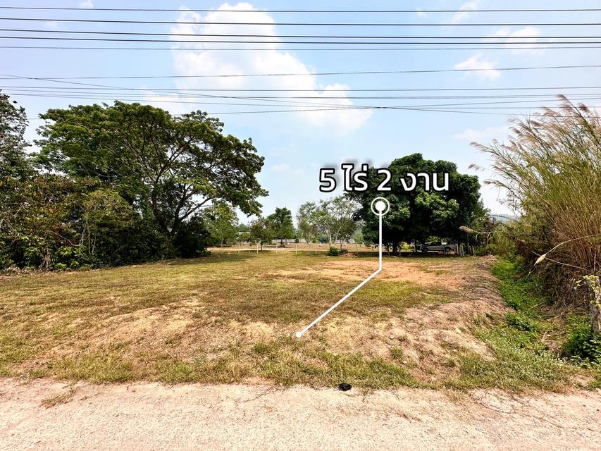 ขายด่วน ที่ดินพร้อมสิ่งปลูกสร้าง 5 ไร่เศษ วิวภูเขาพาโนรามา ติดถนน 1173 ต.เมืองชุม อ.เวียงชัย เชียงราย 18