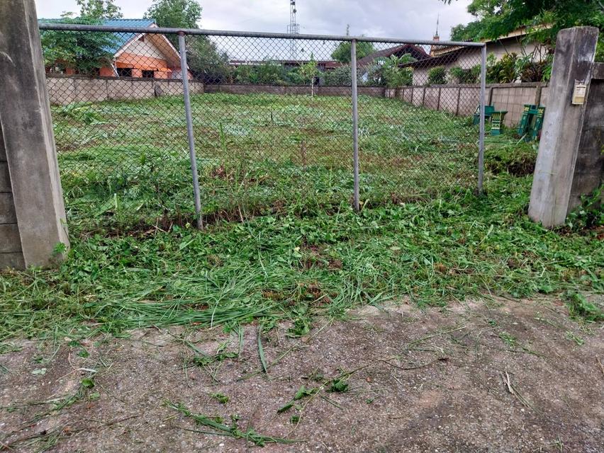 ที่ดินหลังวิทยาลัยกาอาขีพพร้อมฉโนด