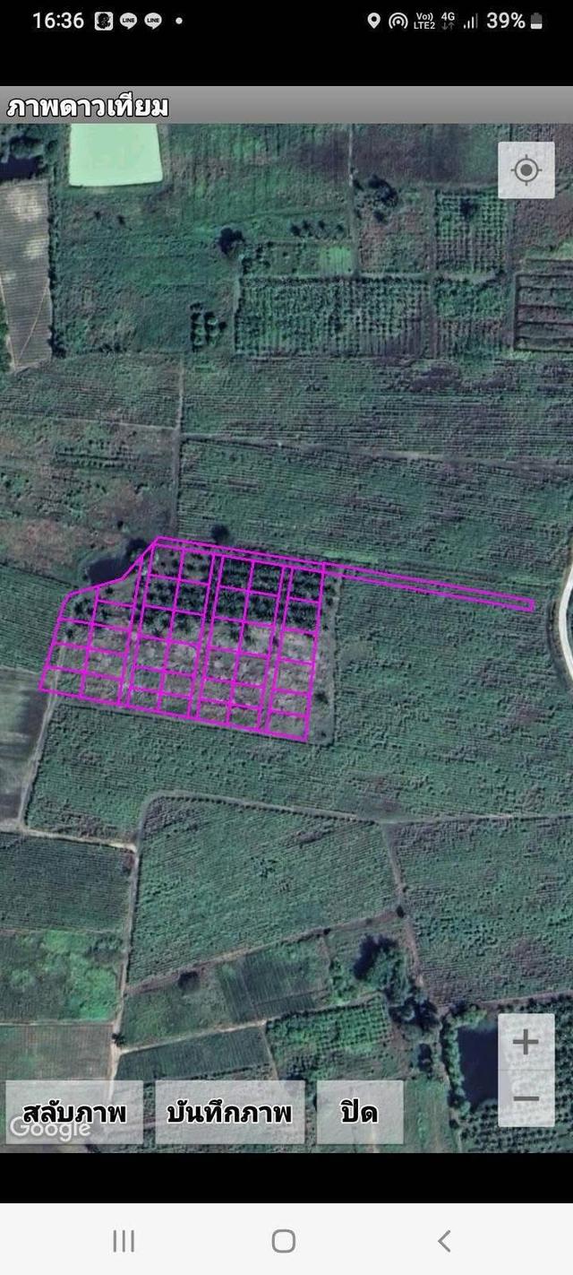 ขายที่ดินยกแปลง 11 ไร่ 2