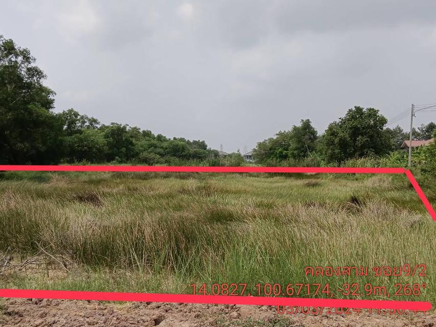 ‼️ขายที่ดินเปล่าถูกมากๆ คลองหลวง ซอยคลอง 3 9/2 14