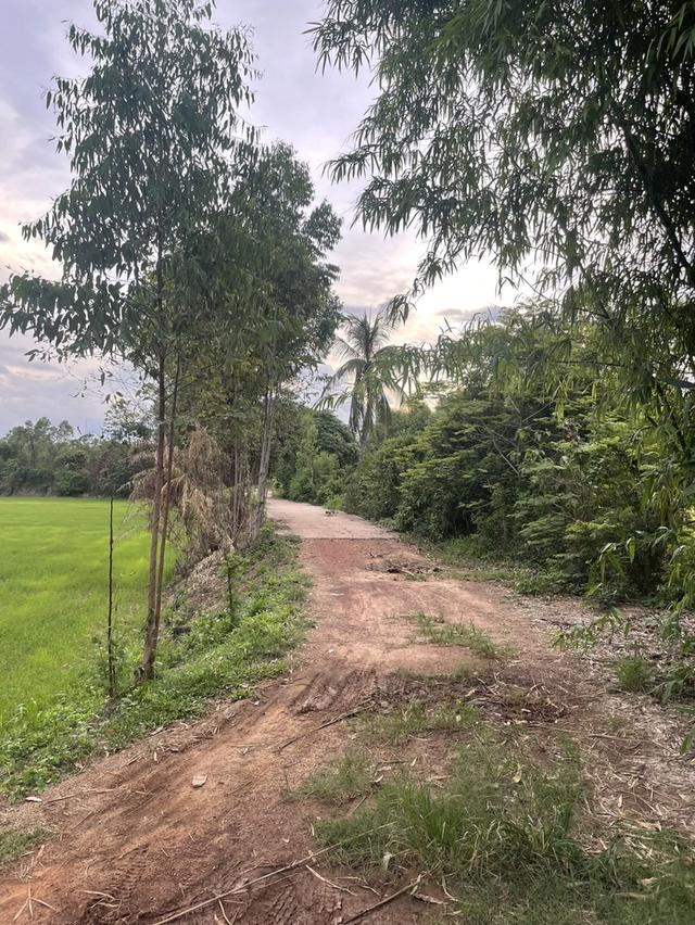ที่ดิน จ.ปราจีนบุรี อ.กบินทร์บุรี ต.นาเเขม (บ้านท่าอุดม) 4