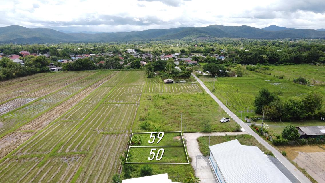 ที่ดินแบ่งขาย 50 และ 59 ตร.ว. เริ่มต้น 300,000 บาท น้ำไฟถนนคอนกรีตพร้อม 2