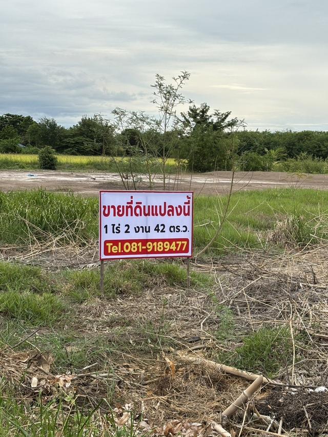 ขายที่ดินถมแล้ว เจ้าของขายเอง ทำเลดีติดถนนซอย 2 ฝั่ง พระนครศรีอยุธยา 1