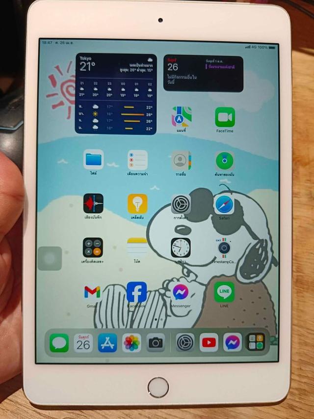 iPad mini 4 – 16 Gb 2