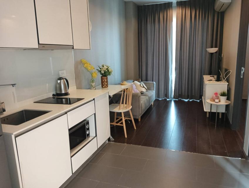 ปล่อยเช่า C Ekkamai 888/490 3