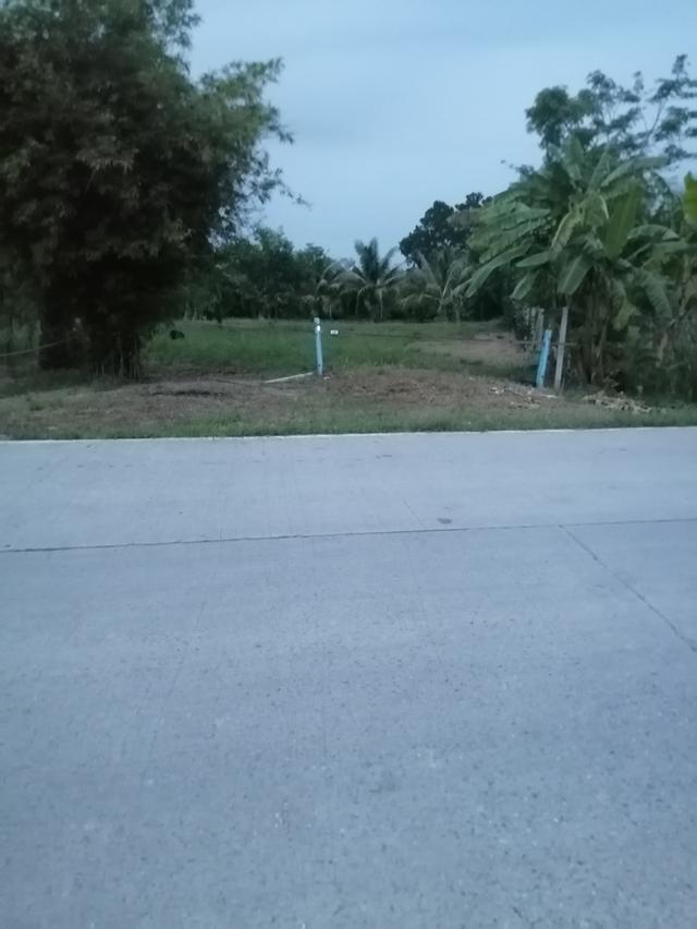 ที่ดิน250​ตรว.​ บรรยากาศ​ดี​ ใกล้​ กทม. 1